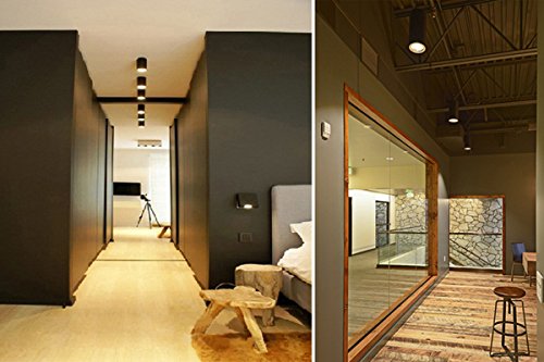 LED NEO Cylinder Surface Light (7/12/18 Watt, Rose Reflector) (Warm White (3000k)