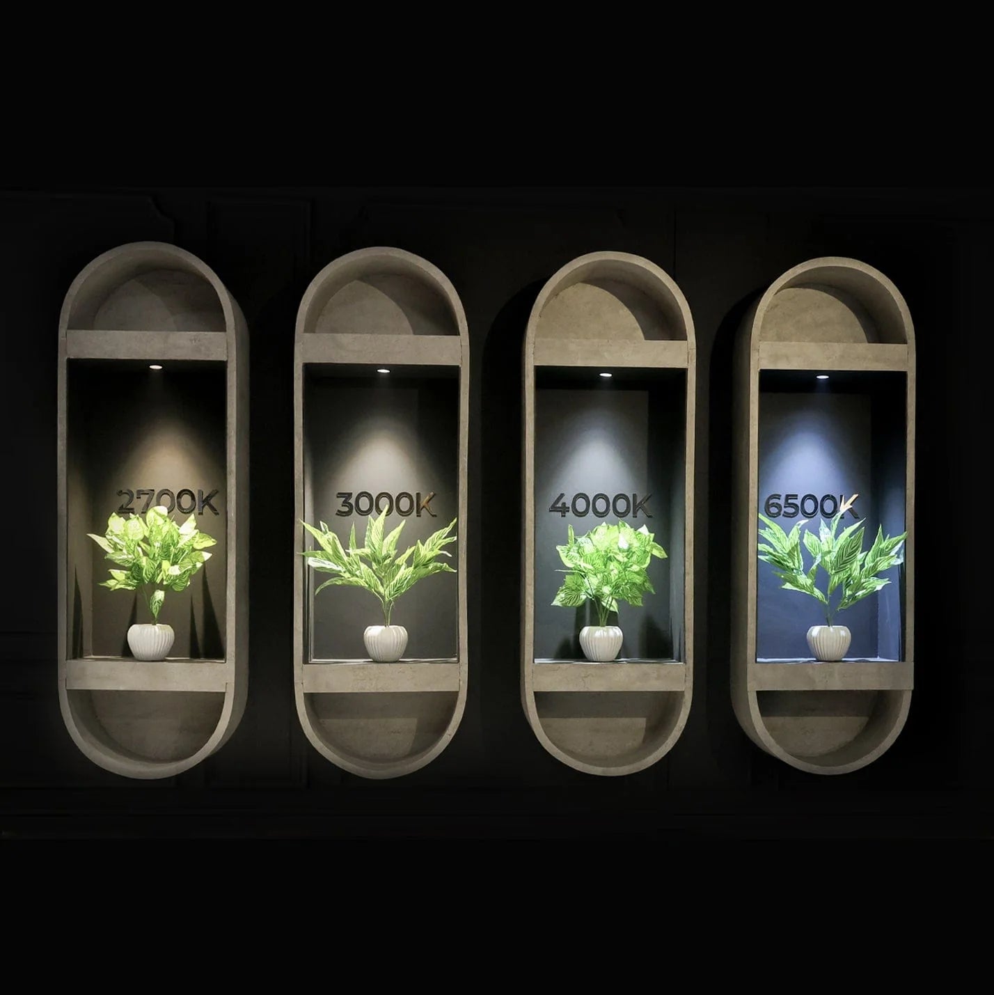 7W,12W,18W PREMIUM POLO COB LIGHT. ISOLATED LED DRIVER. 4KV SURGE PROTECTION INBUILT.Led premium polo cob light